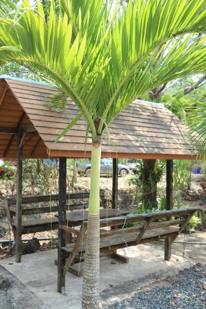 Baanrimklong Bungalow Koh Chang Kamer foto